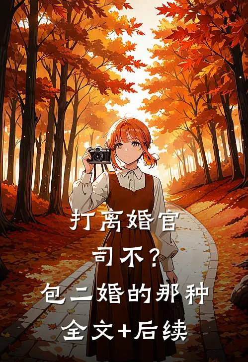 打离婚官司不？包二婚的那种全文+后续