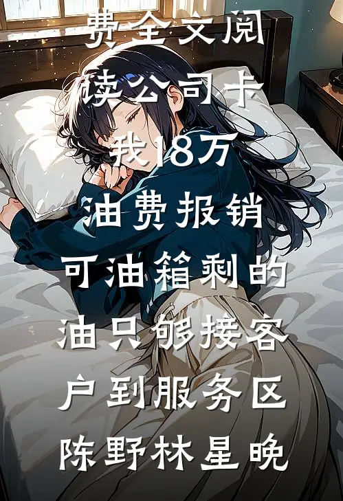 公司卡我18万油费报销，可油箱剩的油只够接客户到服务区陈野林星晚完整版小说全文免费阅读_完整版免费全文阅读公司卡我18万油费报销，可油箱剩的油只够接客户到服务区(陈野林星晚)
