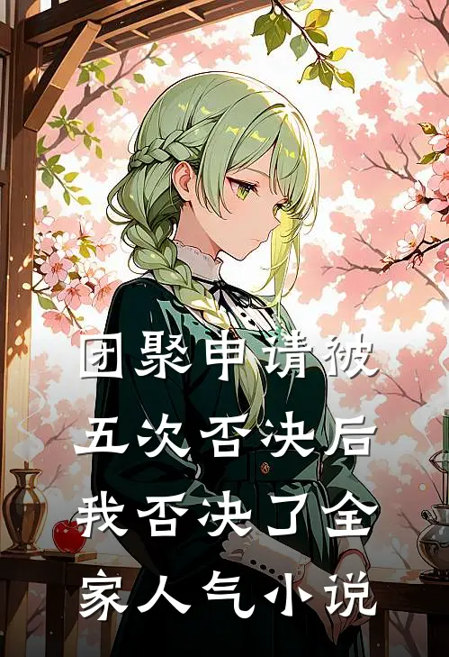 团聚申请被五次否决后，我否决了全家人气小说