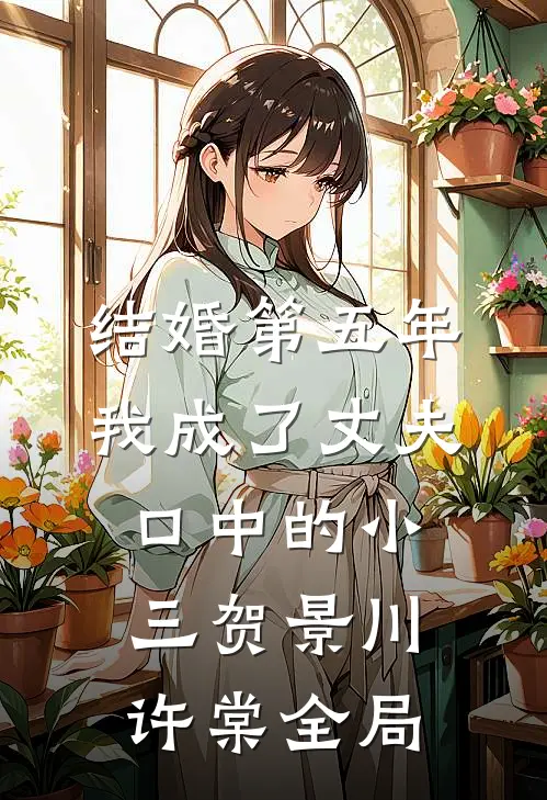 结婚第五年，我成了丈夫口中的小三贺景川许棠全局