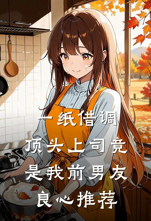 一纸借调，顶头上司竟是我前男友良心推荐