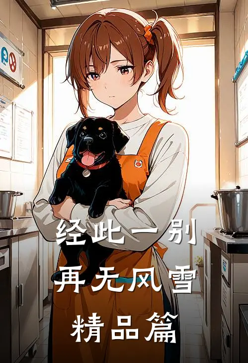 经此一别再无风雪精品篇