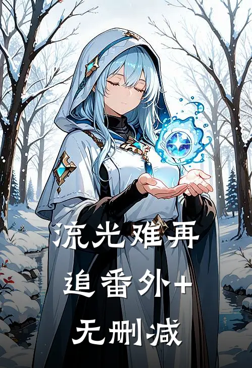 流光难再追番外+无删减