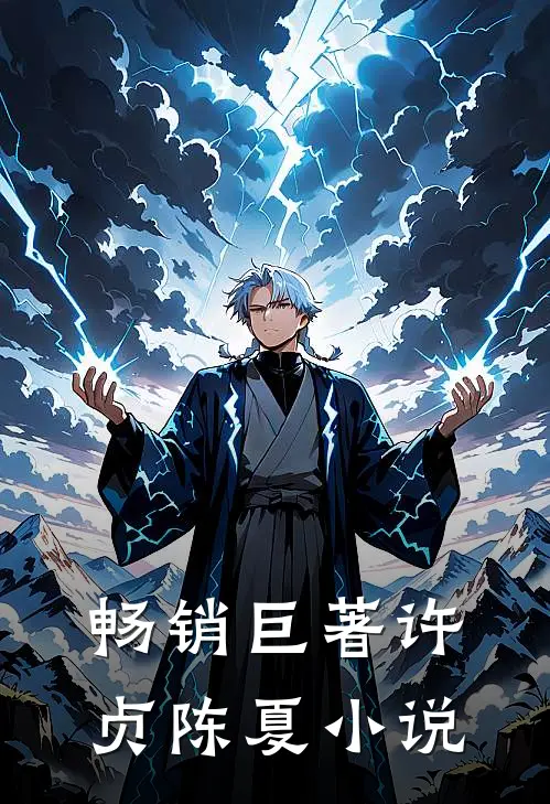 畅销巨著许贞陈夏小说