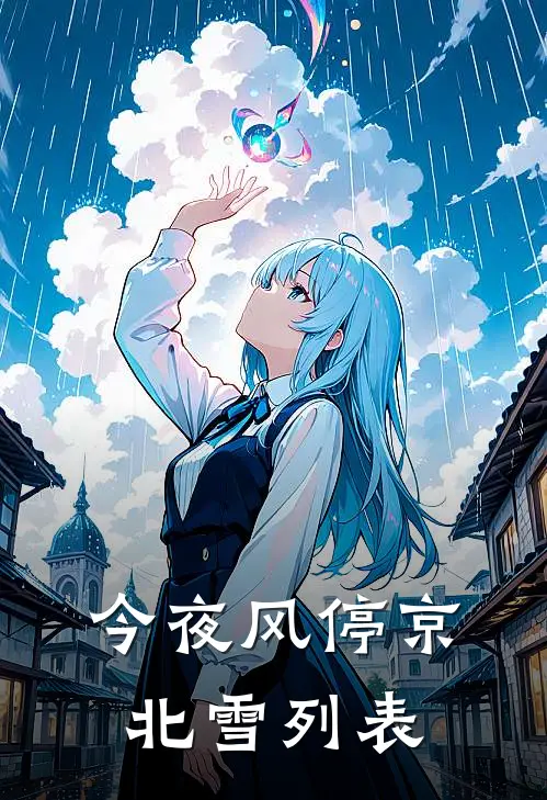 今夜风停京北雪列表