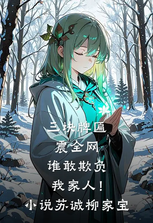 三块牌匾震全网，谁敢欺负我家人！小说苏诚柳家宝