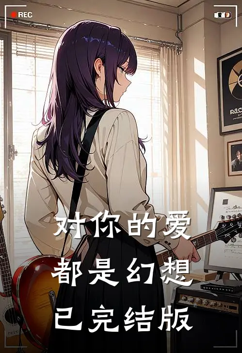 对你的爱都是幻想已完结版