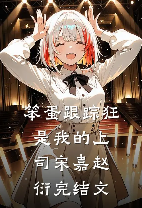 笨蛋跟踪狂是我的上司宋嘉赵衍完结文