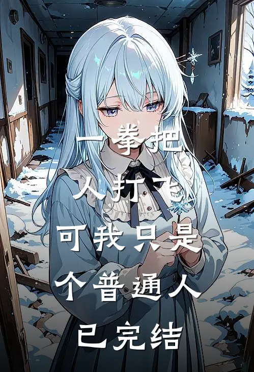 一拳把人打飞，可我只是个普通人已完结
