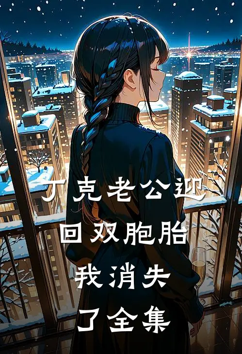 丁克老公迎回双胞胎，我消失了全集