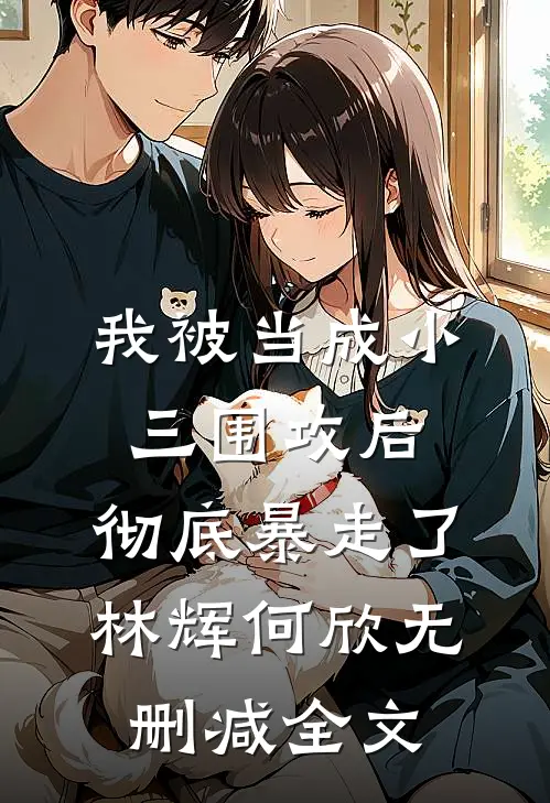 我被当成小三围攻后，彻底暴走了林辉何欣无删减全文