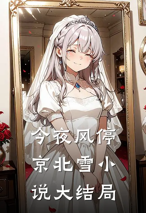 今夜风停京北雪小说大结局