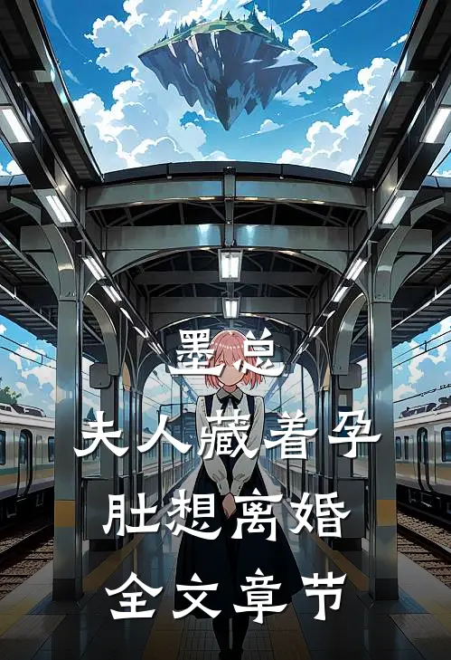 墨总，夫人藏着孕肚想离婚全文章节