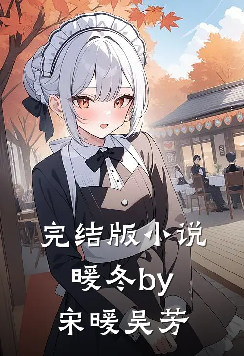完结版小说暖冬by宋暖吴芳
