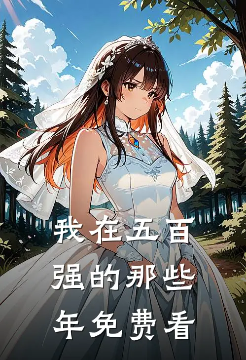 我在五百强的那些年免费看