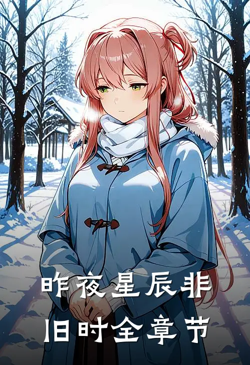 昨夜星辰非旧时全章节