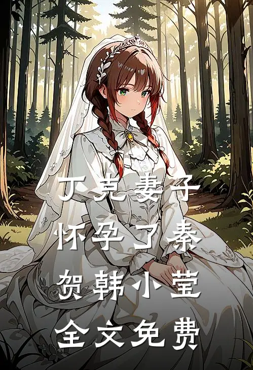 丁克妻子怀孕了秦贺韩小莹全文免费