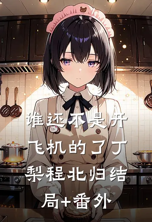 谁还不是开飞机的了丁梨程北归结局+番外