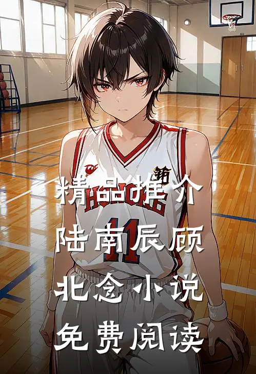 精品推介陆南辰顾北念小说免费阅读
