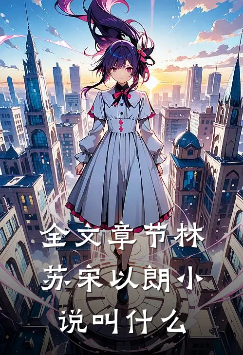 全文章节林苏宋以朗小说叫什么