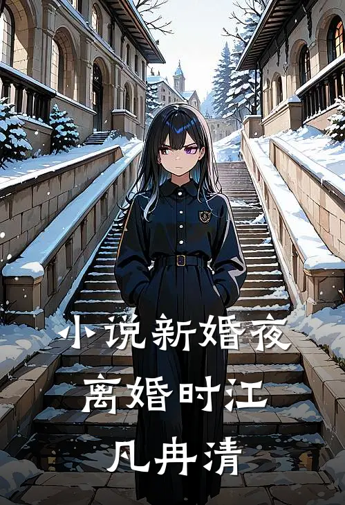 小说新婚夜，离婚时(江凡冉清)