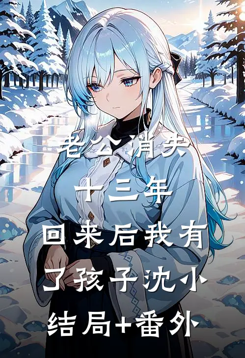 老公消失十三年，回来后我有了孩子沈小结局+番外