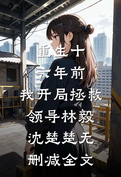 重生十六年前，我开局拯救领导林毅沈楚楚无删减全文