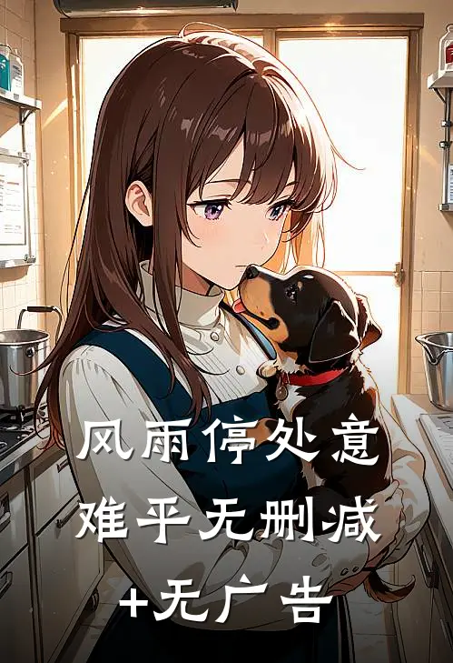 风雨停处意难平无删减+无广告