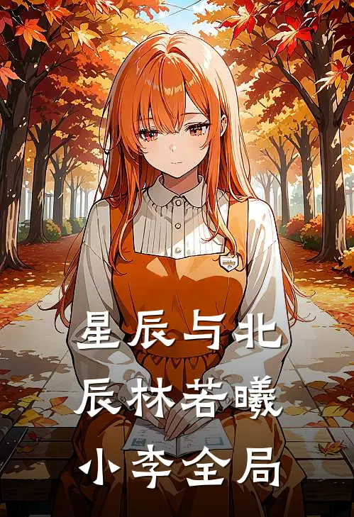 星辰与北辰林若曦小李全局