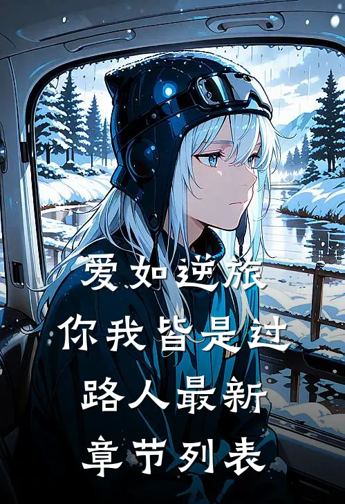 爱如逆旅，你我皆是过路人最新章节列表